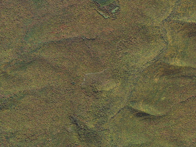 Aerial image of Sproul State Forest roadside campsite HY039