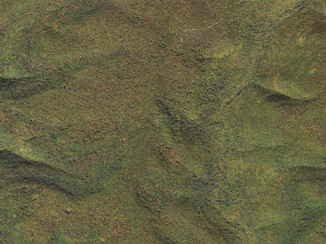 Aerial image of Sproul State Forest roadside campsite HY040