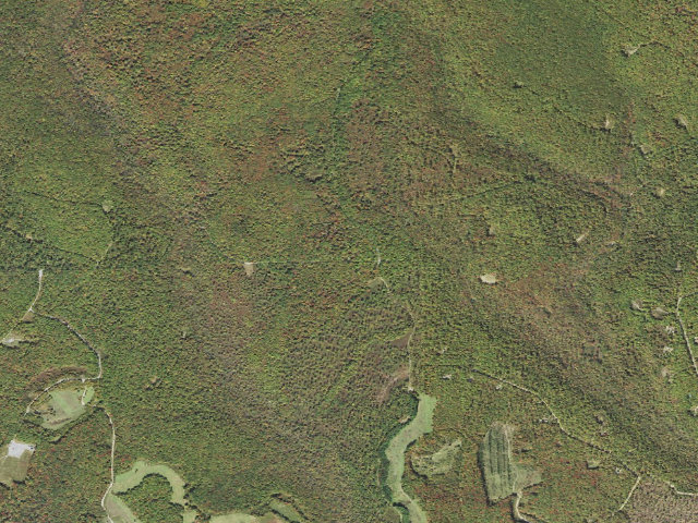 Aerial image of Sproul State Forest roadside campsite SS001