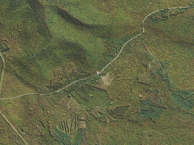 Aerial image of Sproul State Forest roadside campsite SS006