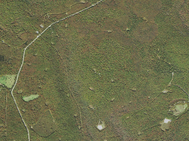 Aerial image of Sproul State Forest roadside campsite SS012