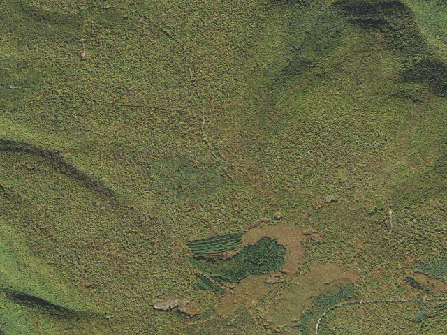 Aerial image of Sproul State Forest roadside campsite SS013