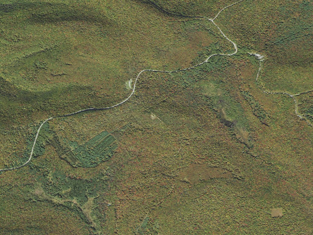Aerial image of Sproul State Forest roadside campsite SS014