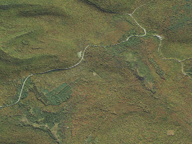 Aerial image of Sproul State Forest roadside campsite SS015