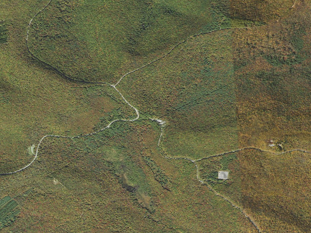 Aerial image of Sproul State Forest roadside campsite SS017