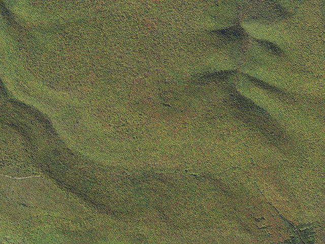 Aerial image of Sproul State Forest roadside campsite SS019
