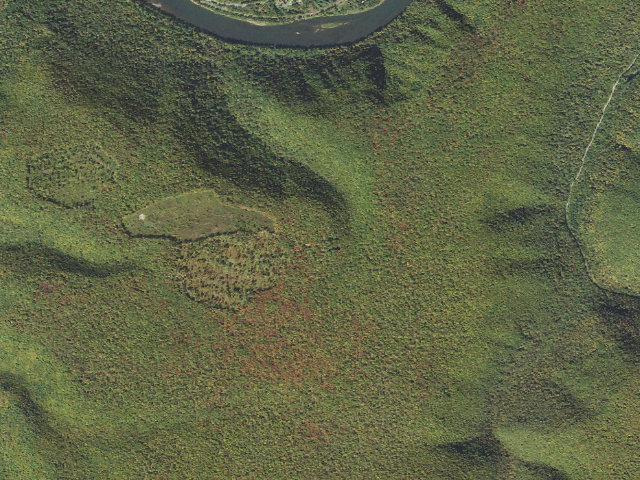 Aerial image of Sproul State Forest roadside campsite SS020