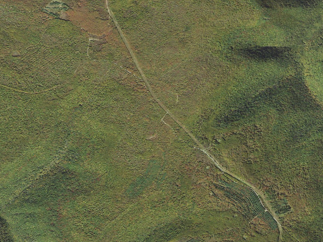 Aerial image of Sproul State Forest roadside campsite SS021