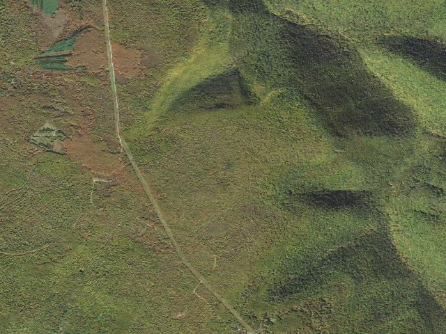 Aerial image of Sproul State Forest roadside campsite SS022