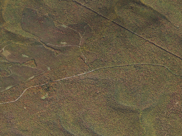 Aerial image of Sproul State Forest roadside campsite SS025