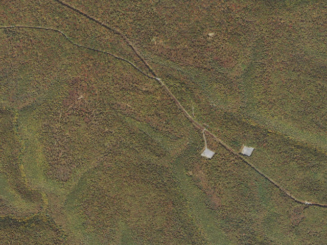 Aerial image of Sproul State Forest roadside campsite SS026