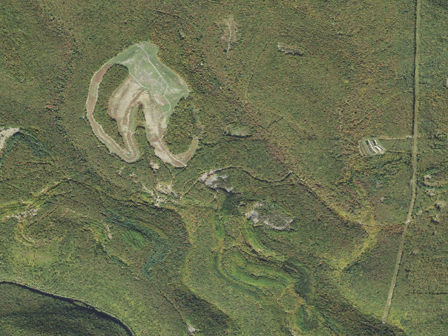 Aerial image of Sproul State Forest roadside campsite WS005