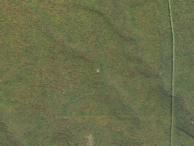 Aerial image of Sproul State Forest roadside campsite WS007