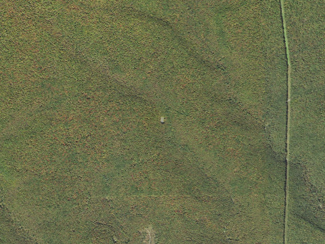 Aerial image of Sproul State Forest roadside campsite WS008