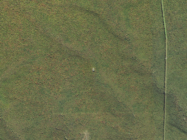 Aerial image of Sproul State Forest roadside campsite WS009
