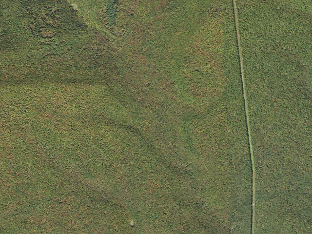 Aerial image of Sproul State Forest roadside campsite WS010