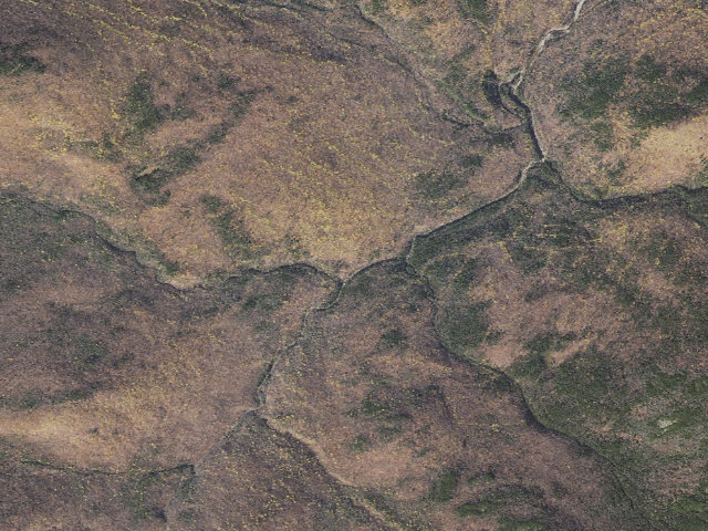 Aerial image of Spruce Brook Tent Site