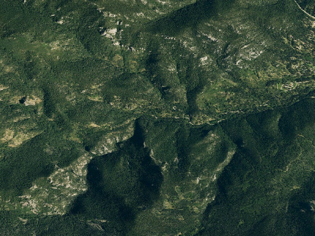 Aerial image of Spruce