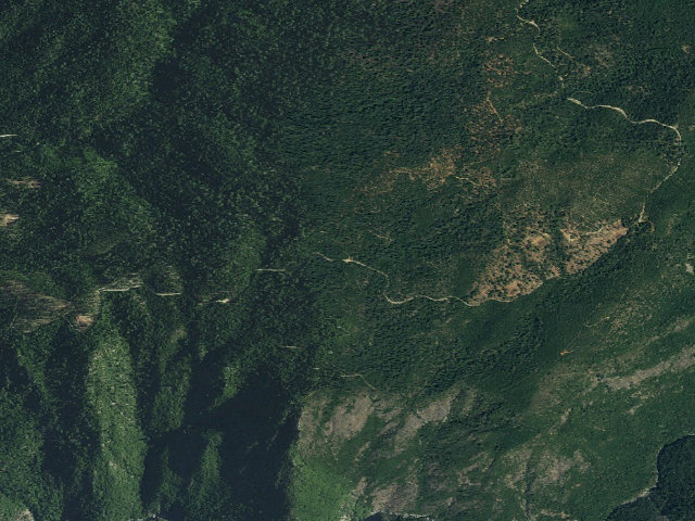 Aerial image of Spruce Creek Loop