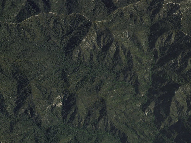 Aerial image of Spruce Grove Trail Camp