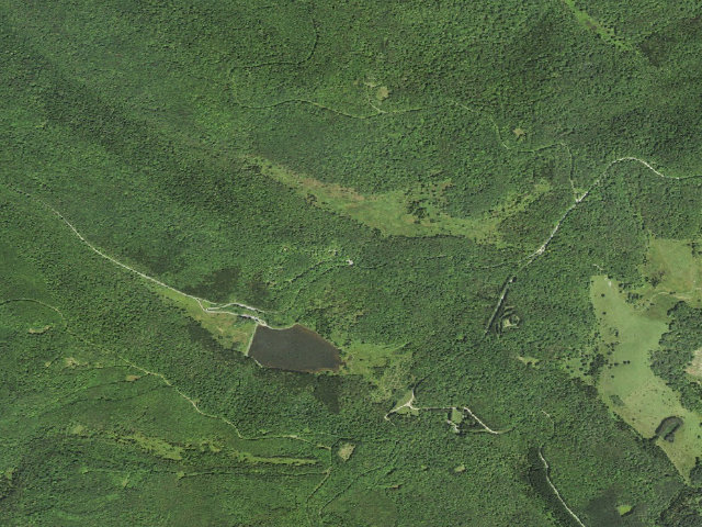 Aerial image of Spruce Knob Lake Campground