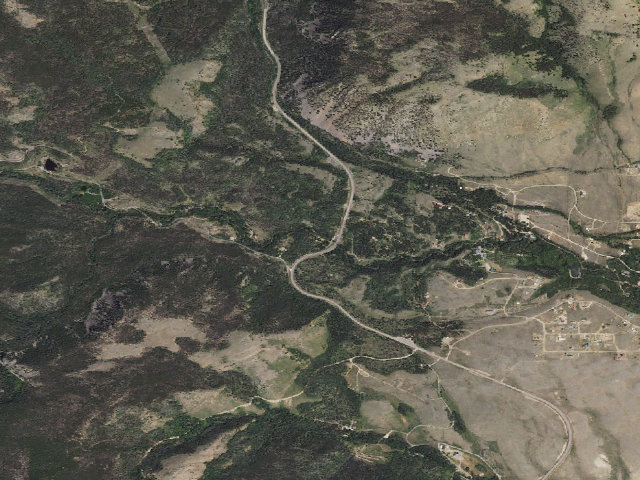 Aerial image of Spruce