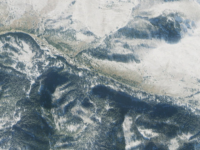 Aerial image of Spruces