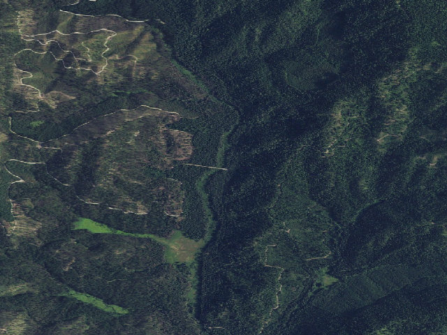 Aerial image of Sqaw Valley 5