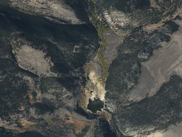 Aerial image of Squeeky Birds