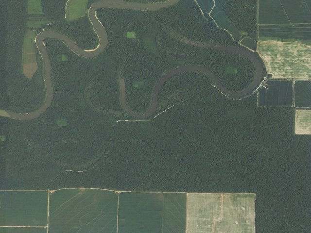 Aerial image of Squirrel Camp Camping Area