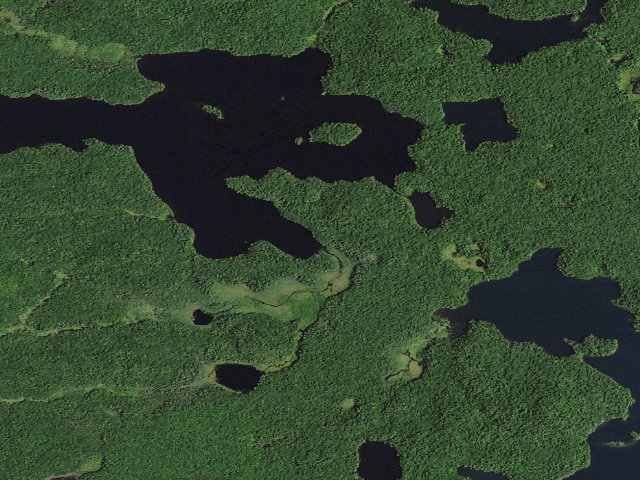 Aerial image of St. Regis Pond Site 1 (Saint Regis Canoe Area)