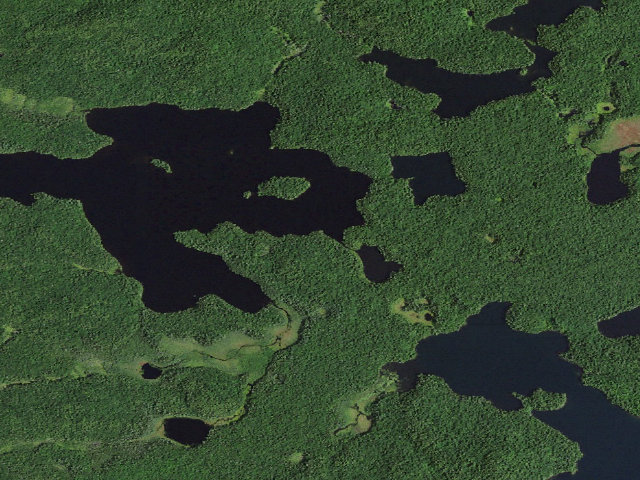 Aerial image of St. Regis Pond Site 11 (Saint Regis Canoe Area)
