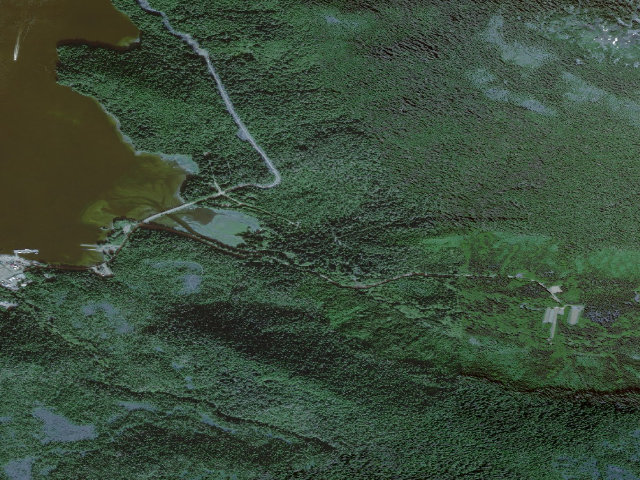 Aerial image of Starrigavan Campground