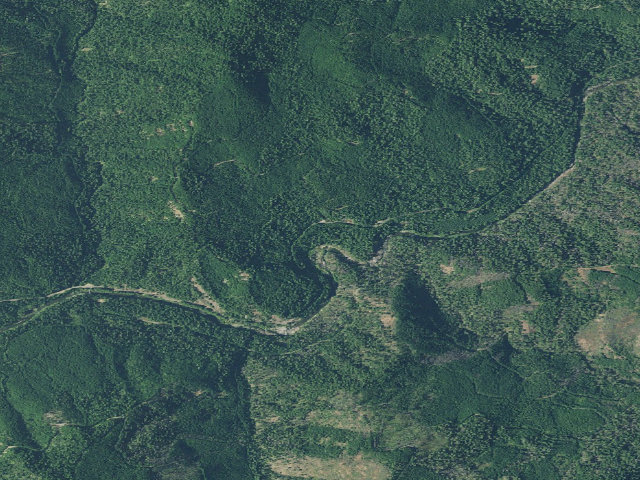Aerial image of Steamboat Forest Camp