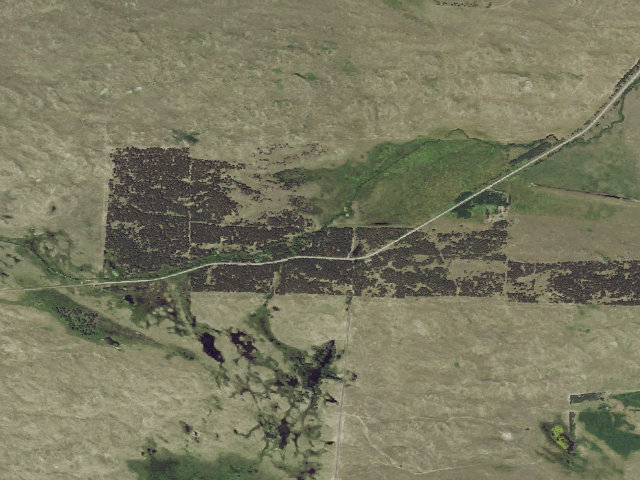 Aerial image of Steer Creek
