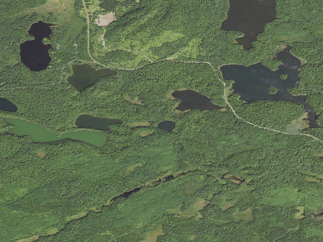 Aerial image of Steer Lake Site #1