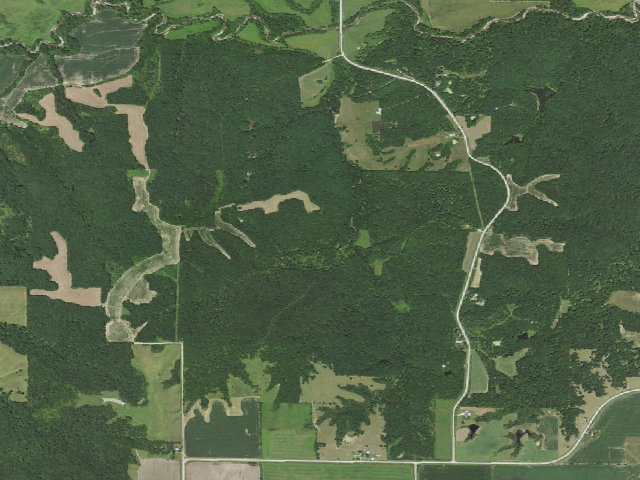 Aerial image of Stephens State Forest - Woodburn Backpack Site 1