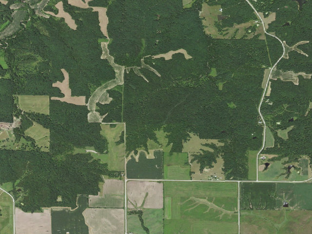 Aerial image of Stephens State Forest - Woodburn Backpack Site 2