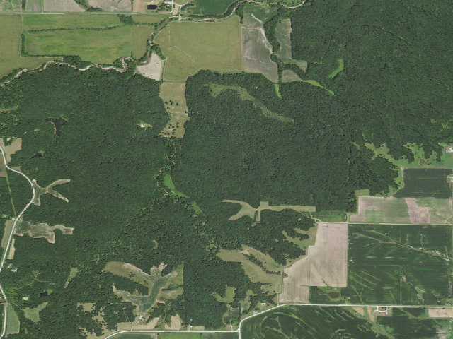 Aerial image of Stephens State Forest - Woodburn Backpack Site 5