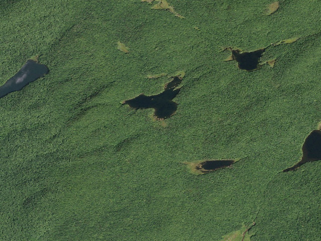 Aerial image of Stewart Lake Tent Site [DEC #6064] (Shaker Mountain Wild Forest)