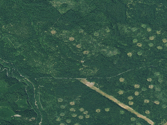 Aerial image of Stockdale Pond