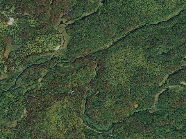 Aerial image of Stone Dam Campsite 10 (Grass River Wild Forest)