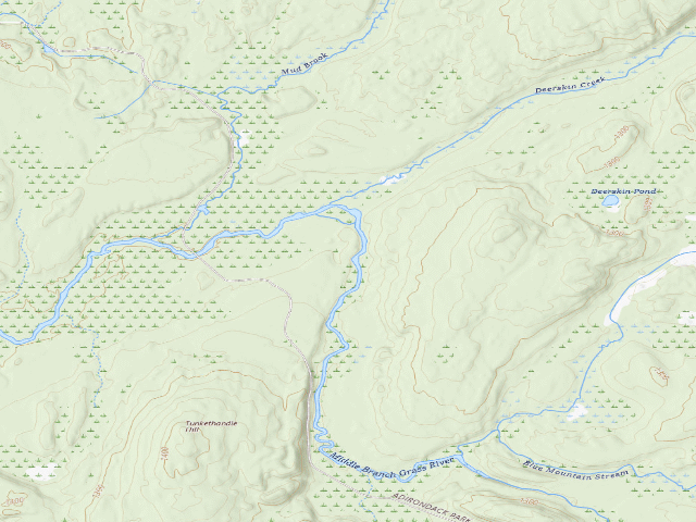 USGS topographic map of Stone Dam Campsite 10 (Grass River Wild Forest)