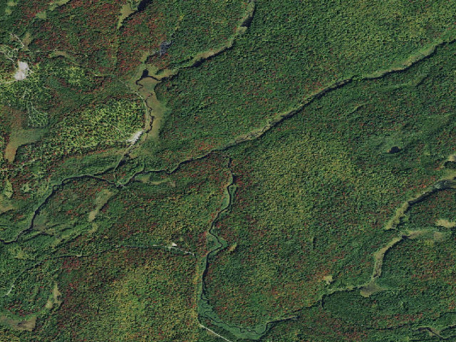 Aerial image of Stone Dam Campsite 11 (Grass River Wild Forest)