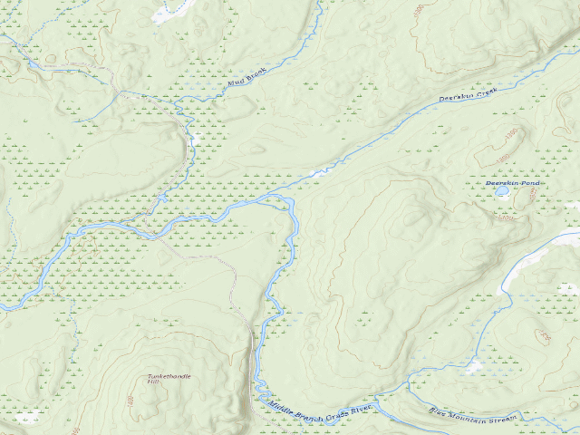USGS topographic map of Stone Dam Campsite 11 (Grass River Wild Forest)