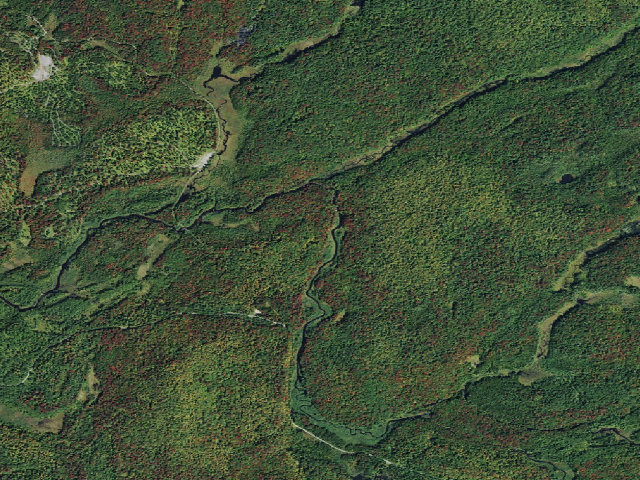 Aerial image of Stone Dam Campsite 8 (Grass River Wild Forest)