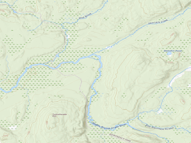 USGS topographic map of Stone Dam Campsite 8 (Grass River Wild Forest)