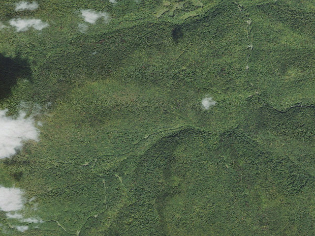 Aerial image of Stony Brook Shelter