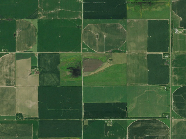Aerial image of Straight Water WMA