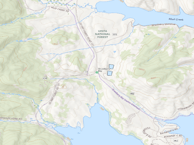 USGS topographic map of Strawberry Bay